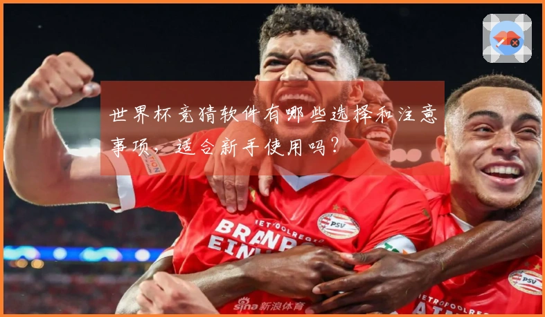 世界杯竞猜软件有哪些选择和注意事项，适合新手使用吗？